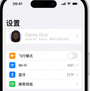 醴陵appleID维修服务iPhone设置中Apple ID显示为灰色无法使用