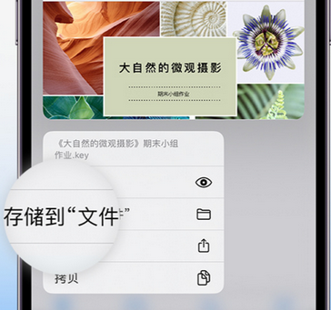 醴陵apple维修中心分享iPhone文件应用中存储和找到下载文件