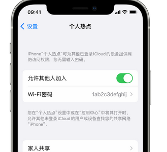 醴陵apple服务站点分享iPhone上个人热点丢失了怎么办 