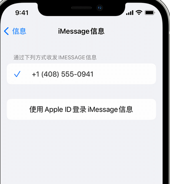 醴陵apple维修iPhone上无法正常发送iMessage信息 