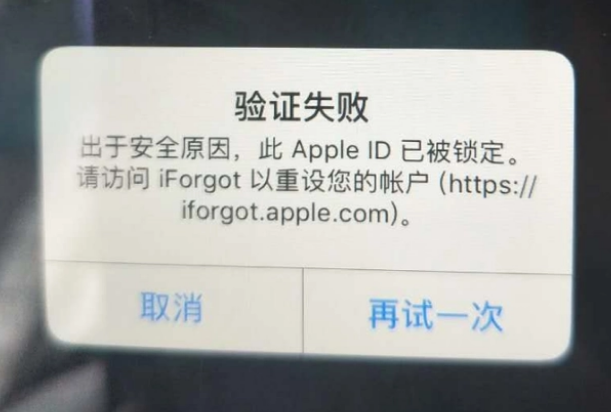 醴陵iPhone维修分享iPhone上正常登录或使用AppleID怎么办 