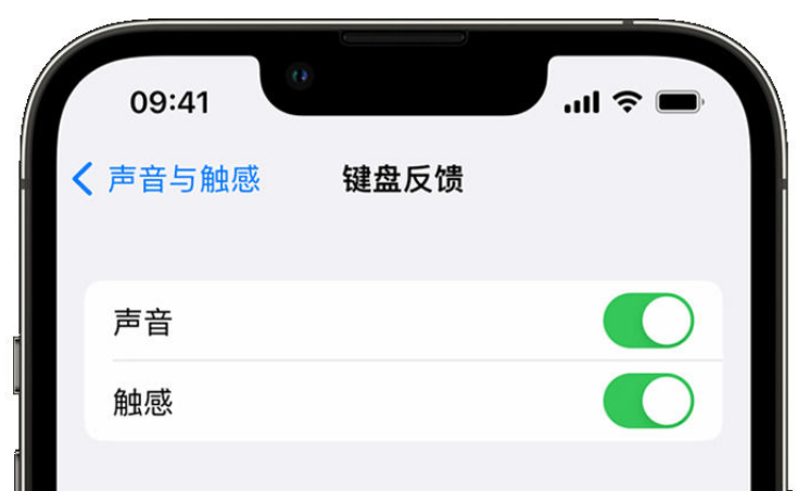 醴陵苹果手机维修分享iPhone 14触感键盘使用方法 