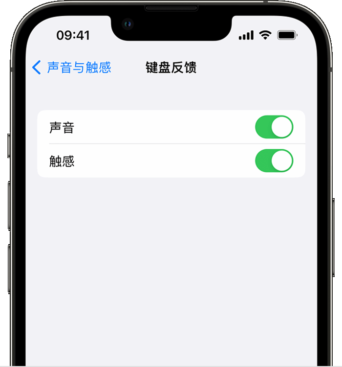 醴陵苹果14维修店分享如何在 iPhone 14 机型中使用触感键盘 