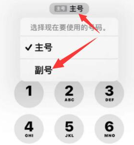 醴陵苹果14维修店分享iPhone 14 Pro Max使用副卡打电话的方法 