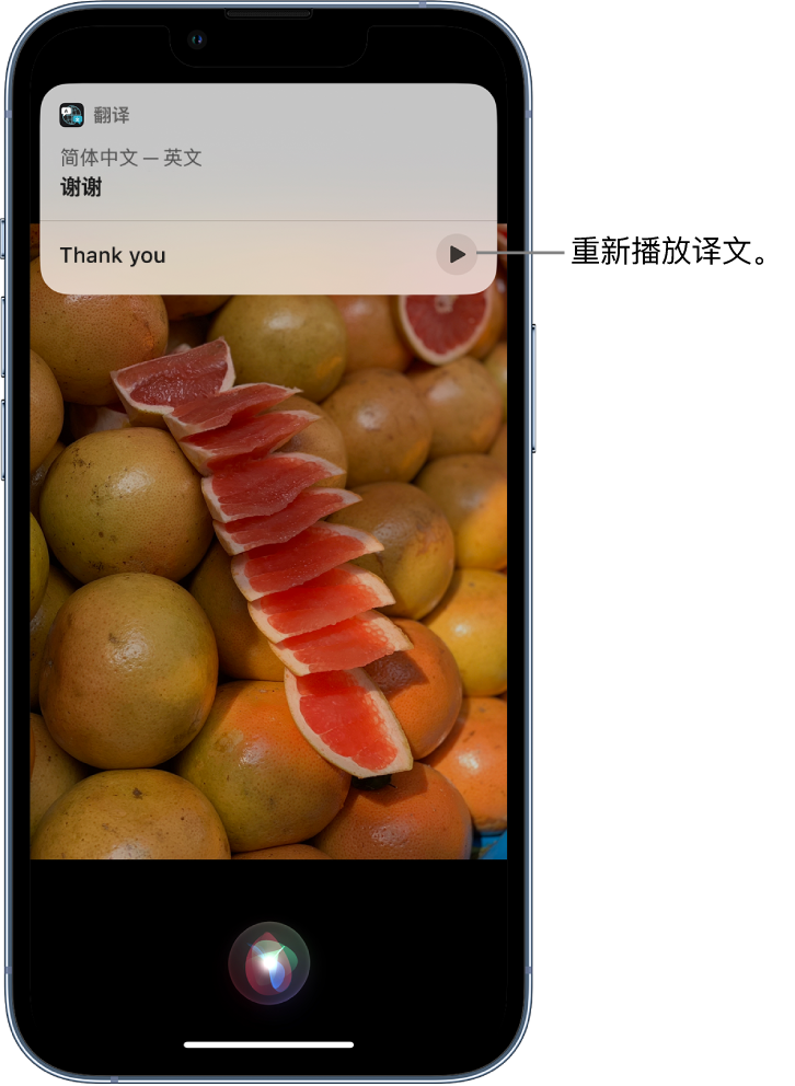 醴陵苹果14维修分享 iPhone 14 机型中使用 Siri：了解 Siri 能帮你做什么 