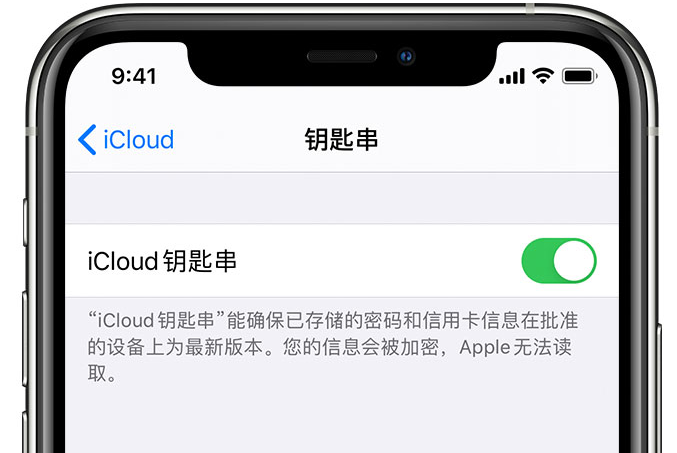 醴陵苹果手机维修分享在 iPhone 上开启 iCloud 钥匙串之后会储存哪些信息 