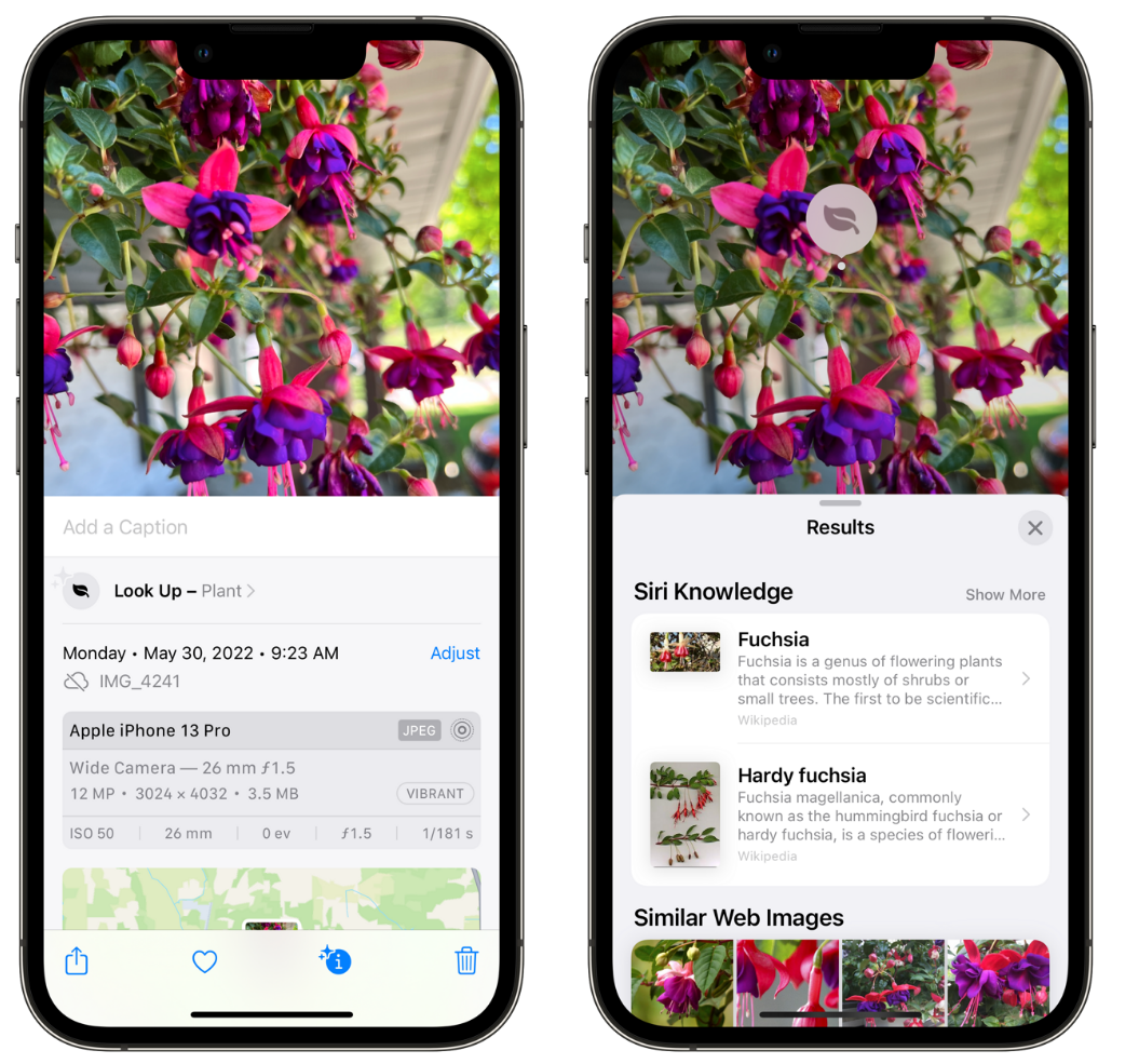 醴陵苹果手机维修分享小技巧：使用 iPhone 相机识别花卉植物 