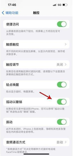 醴陵苹果手机维修分享iPhone手机如何设置摇一摇删除文字 
