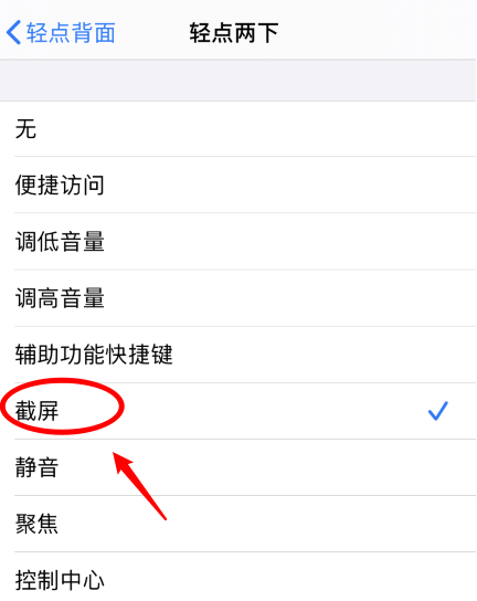 醴陵苹果手机维修分享iPhone12如何启用双击截屏 
