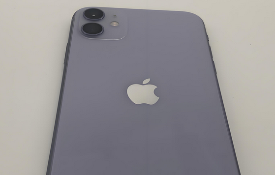 醴陵苹果11系统维修分享iPhone11手机系统崩溃无法开机如何解决