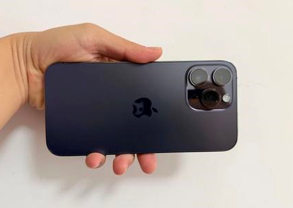 醴陵苹果维修点分享iPhone 14 Pro Max黑屏少见故障盘点 